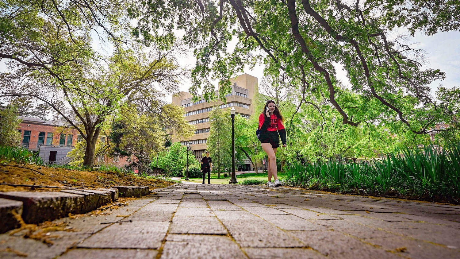 Students stroll through the Court of North Carolina on a warm spring afternoon with pollen falling in the foreground and Poe Hall in the background.